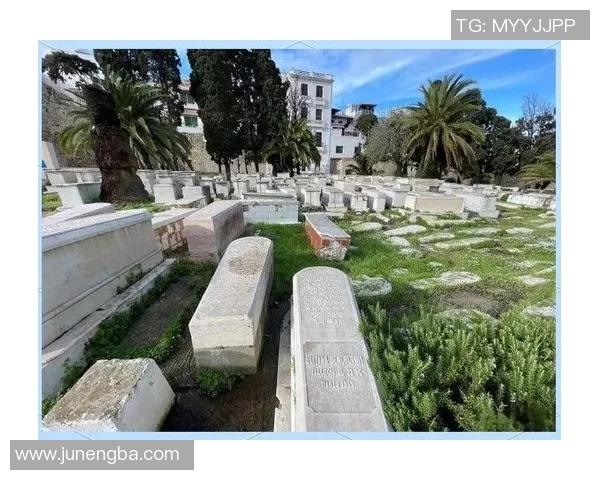摩洛哥与巴黎的文化交融探索与美食之旅